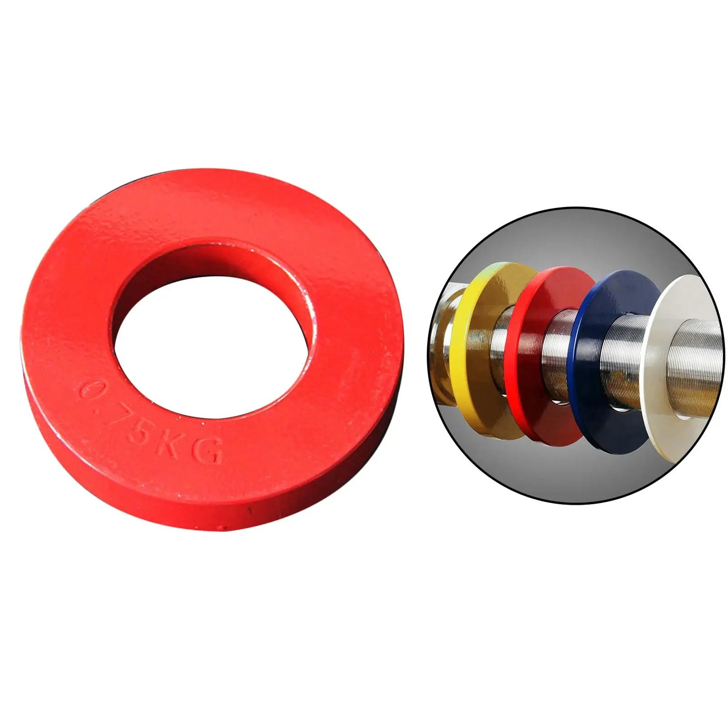 Micro Fractional Weight Plate .25-1kg Micro Fraction Low Weight Disc