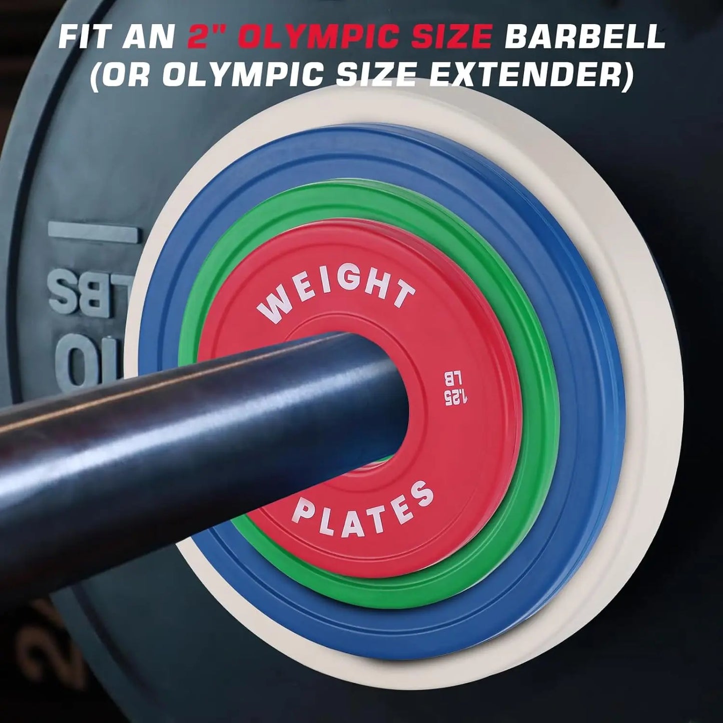 2PCS Change Weight Plates 1.25LB 2.5LB 5LB 10LB Fractional Plate Bumper Plates for Weight Lifting Steel Insert Strength Training