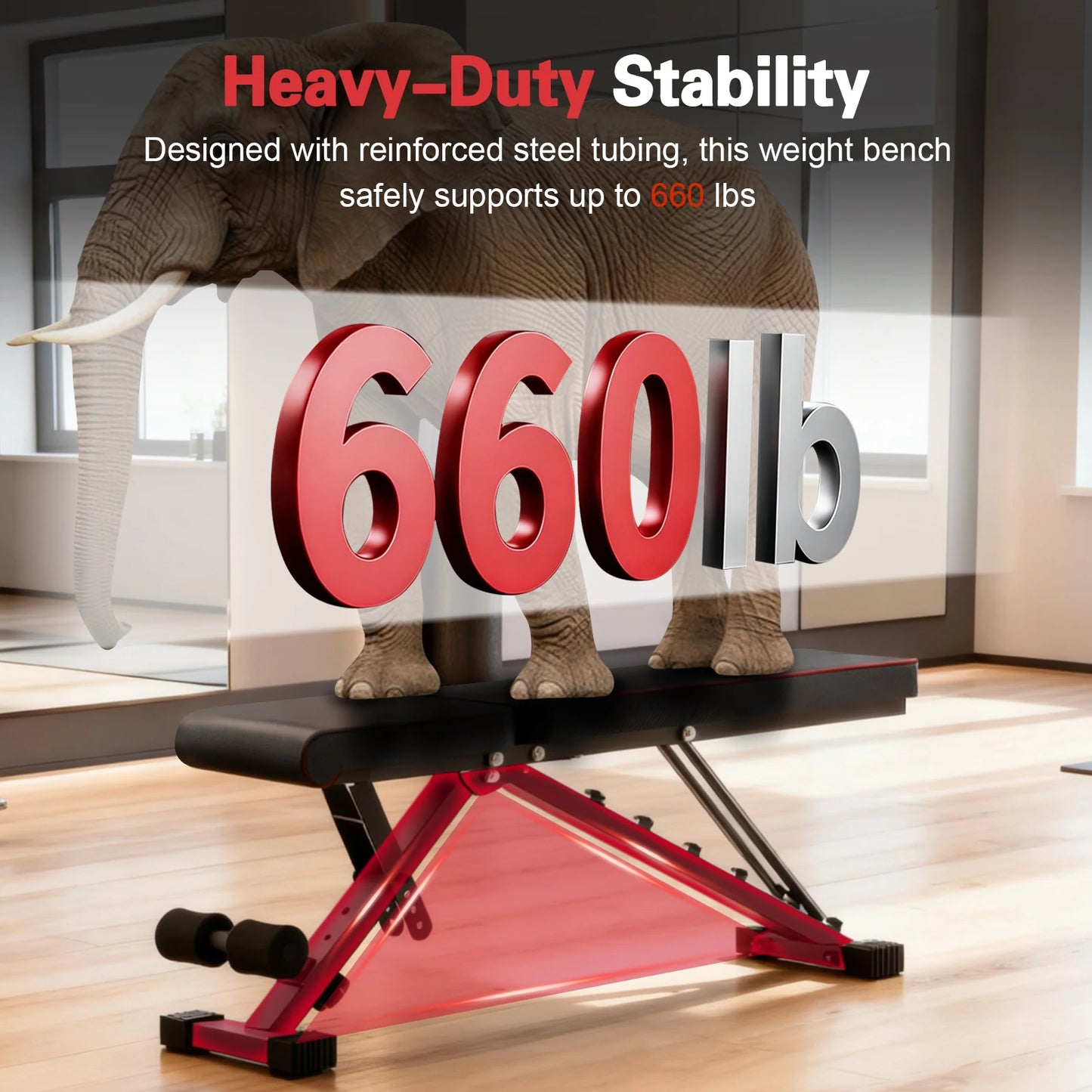 Multifunctional Dumbbell Bench Adjustable Foldable Weight Bench Abdominal Waist Fitness 660LBS Capacity for Home Gym 6-Position Backrest 72 Workout Angles for Full Body Workout Strength Training